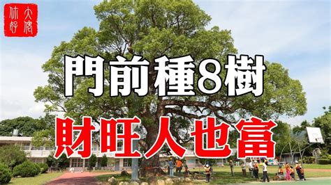 門前種什麼好|【門前種什麼樹好】門前種哪3種樹最旺宅？避開6種厄運樹，財運。